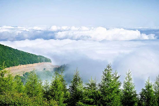جنگل ابر جاهای دیدنی سمنان در بهار