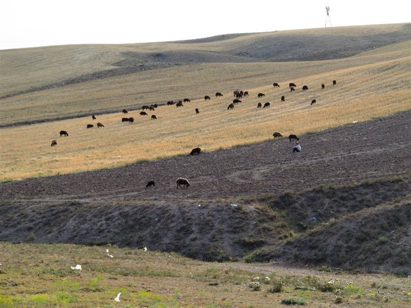 روستای نیماور زنجان روستای نیماور روستای نیماور زنجان