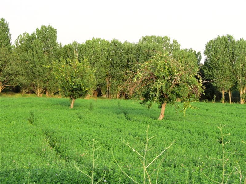 روستای نیماور زنجان روستای نیماور روستای نیماور زنجان