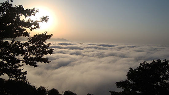 قطری جاهای دیدنی سمنان در بهار