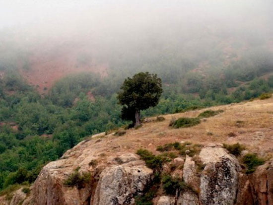 پرور جاهای دیدنی سمنان در بهار