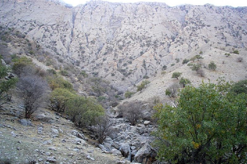 کبیرکوه جاهای دیدنی ایلام در بهار