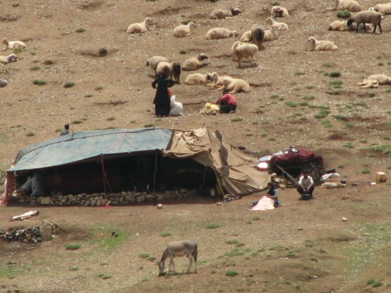 کوچ ایل بختیاری کوچ ایل بختیاری کوچ ایل بختیاری
