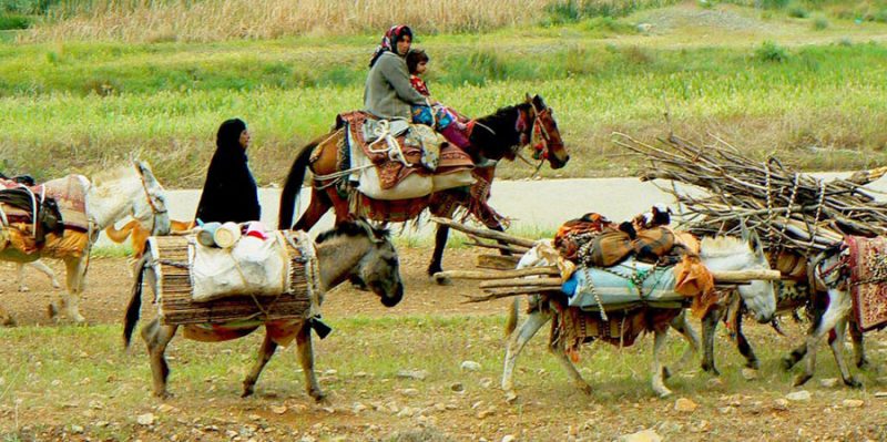 کوچ ایل قشقایی  کوچ ایل قشقایی