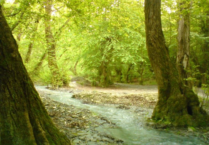 آبشار چلم ریز آبشار چلم ریز