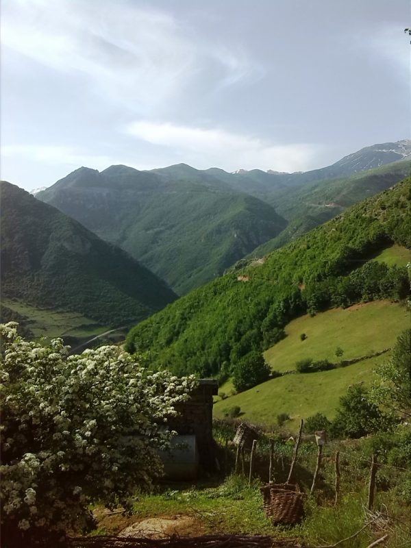 روستای اره چاک اشکورات روستای اره چاک روستای اره چاک اشکورات