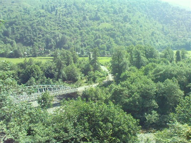 روستای بالارود روستای بالارود سیاهکل