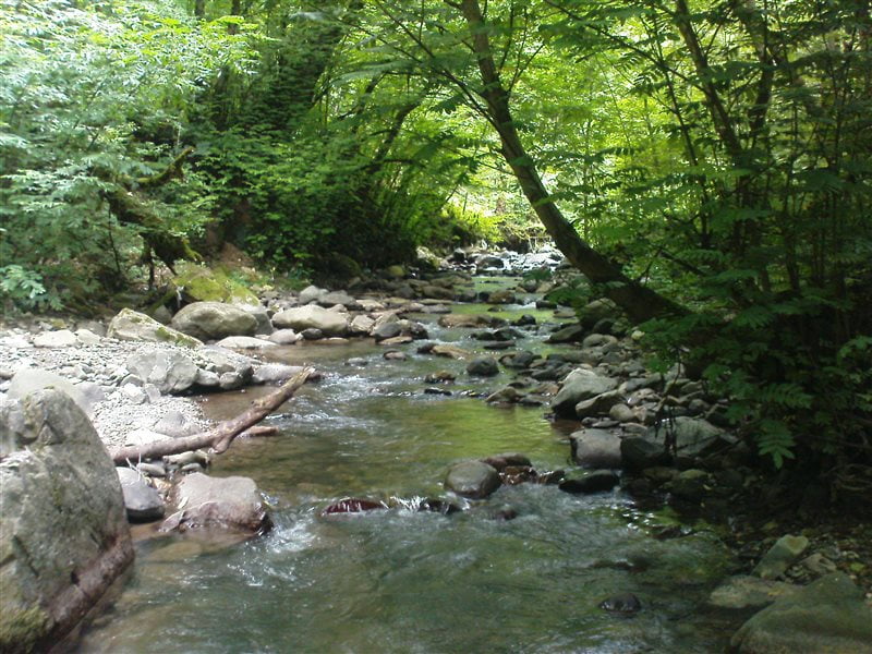 روستای بالارود روستای بالارود سیاهکل