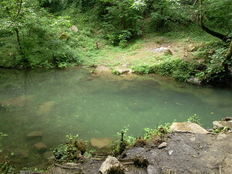 روستای بالارود روستای بالارود سیاهکل