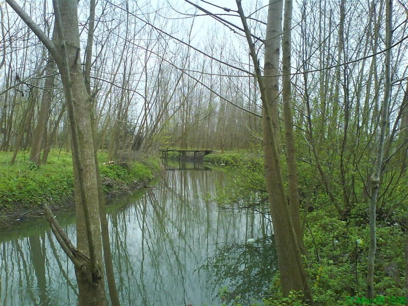 روستای تسیه خمام روستای تسیه روستای تسیه خمام