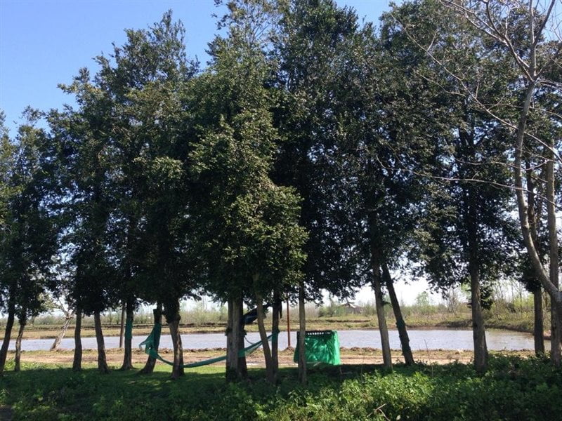 روستای خاجان چهاردانگ روستای خاجان چهاردانگ روستای خاجان چهاردانگ