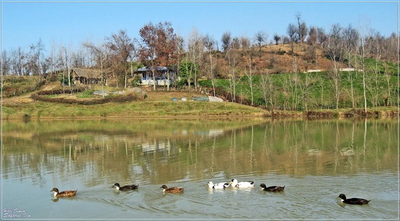 روستای خلیلان شفت روستای خلیلان شفت روستای خلیلان شفت