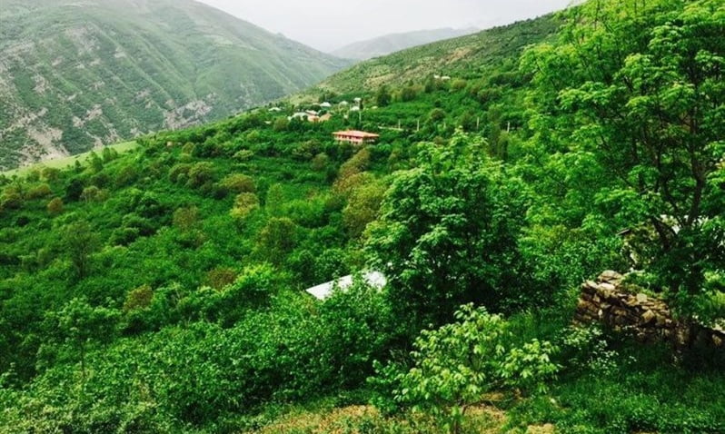 روستای درسنک روستای درسنک روستای درسنک