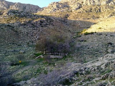 کوه بمو شیراز کوه بمو شیراز کوه بمو شیراز