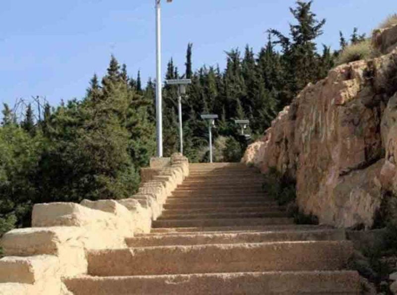 گهواره دید گهواره دید گهواره دید