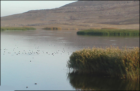 10 جای دیدنی لرستان در تابستان بیشه دالان 10 جای دیدنی لرستان در تابستان