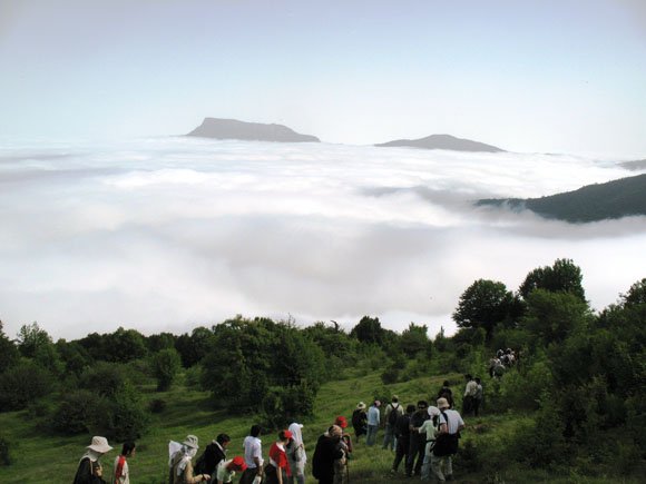 10 جای دیدنی سمنان در تابستان جنگل ابر 10 جای دیدنی سمنان در تابستان