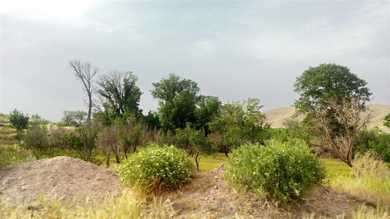 روستای اسفهلان