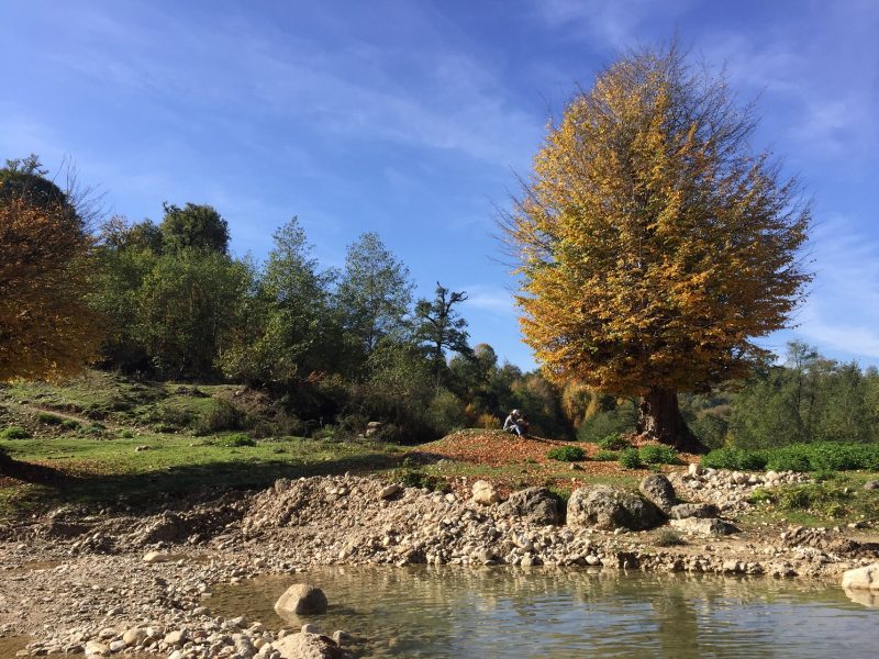 روستای غریب محله روستای غریب محله