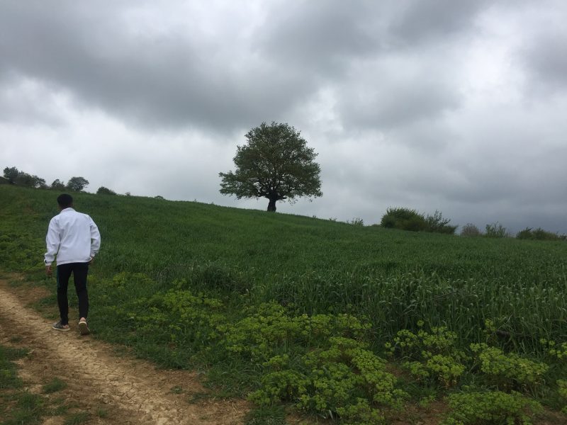 روستای غریب محله روستای غریب محله