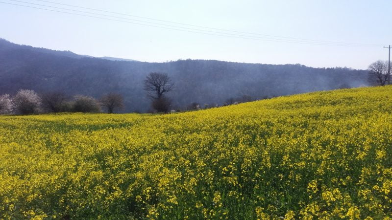 روستای غریب محله روستای غریب محله روستای غریب محله