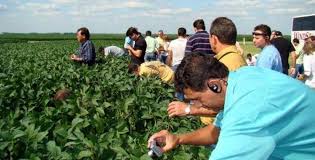 گردشگری کشاورزی گردشگری کشاورزی راهکار ارتقای زندگی در روستاها