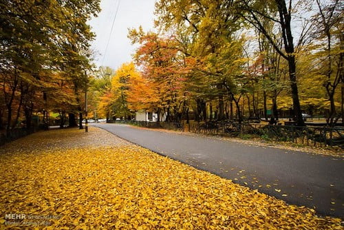 20 جای دیدنی شمال در تابستان