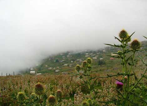 20 جای دیدنی شمال در تابستان