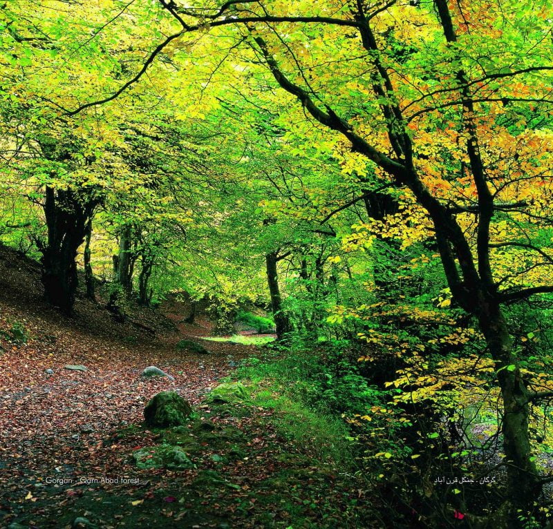 20 جای دیدنی شمال در تابستان