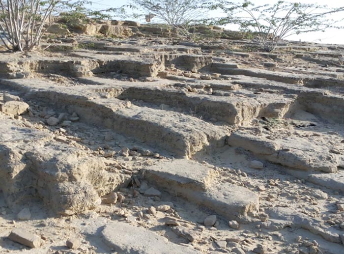 مکانی مخوف به نام قبرستان جن قبرستان جن مکانی مخوف به نام قبرستان جن