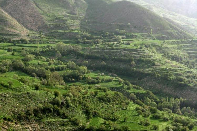 روستای نوا روستای نوا