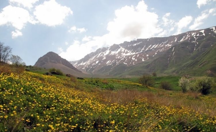 روستای نوا روستای نوا