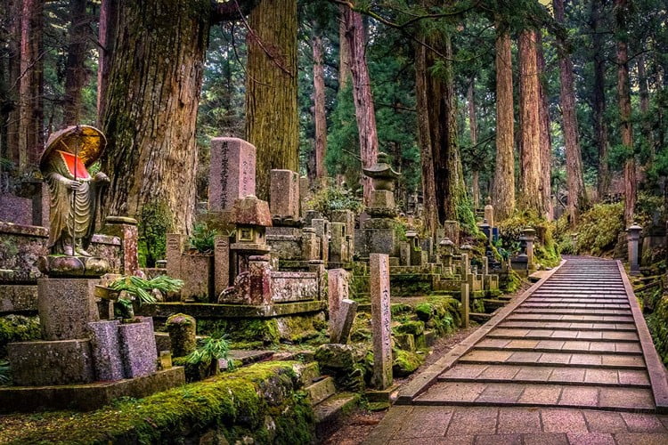 دانستنی های سفر به ژاپن دانستنی های سفر به ژاپن