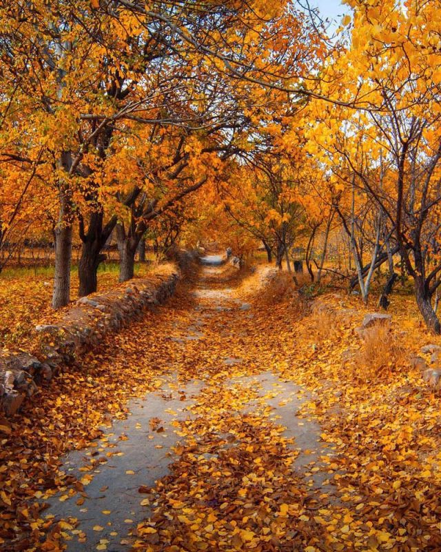 جاهای دیدنی خوانسار در بهار جاهای دیدنی خوانسار در بهار جاهای دیدنی خوانسار در بهار