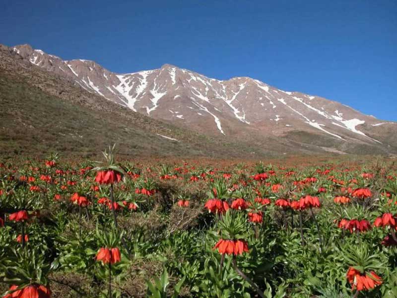 جاهای دیدنی خوانسار در بهار جاهای دیدنی خوانسار در بهار جاهای دیدنی خوانسار در بهار