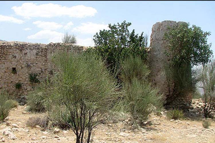محوطه تاریخی هفتدغنان محوطه تاریخی هفتدغنان محوطه تاریخی هفتدغنان