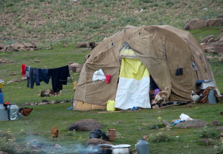 Shahsovan nomads