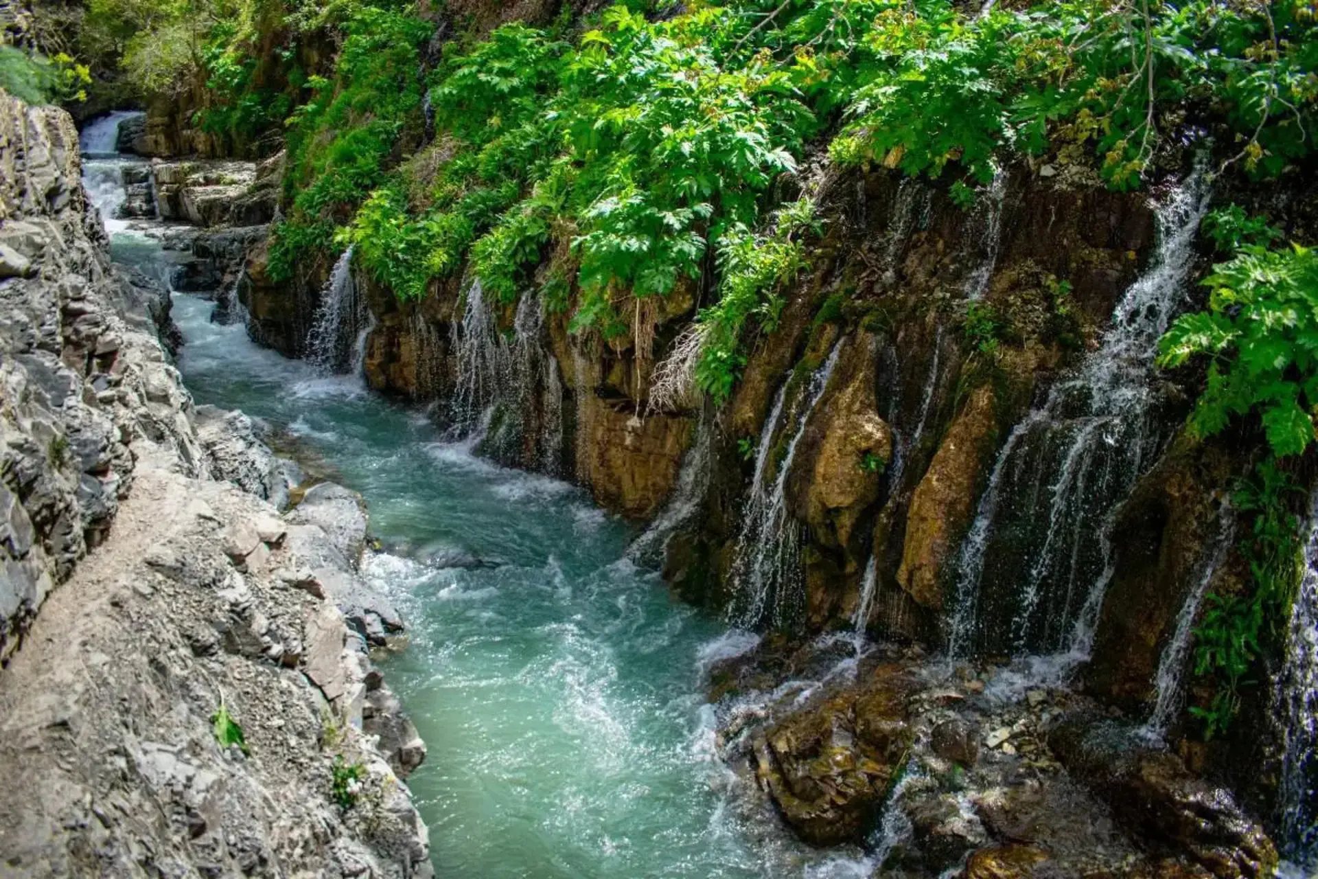 7 Cool Places to Swim Around Tehran