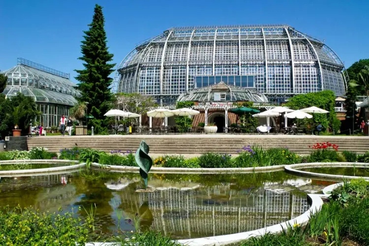 Berlin Botanical Garden and Museum
