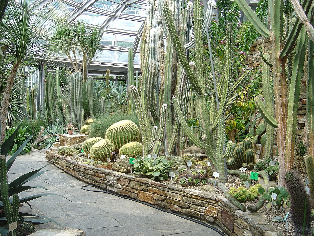 Berlin Botanical Garden and Museum