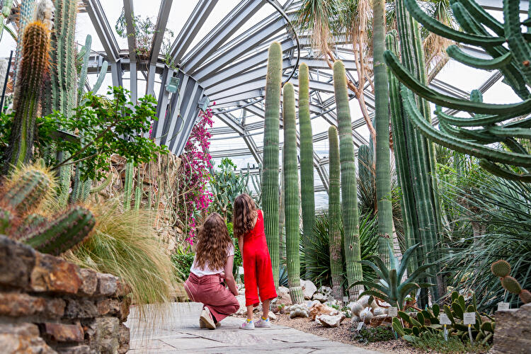 Berlin Botanical Garden and Museum