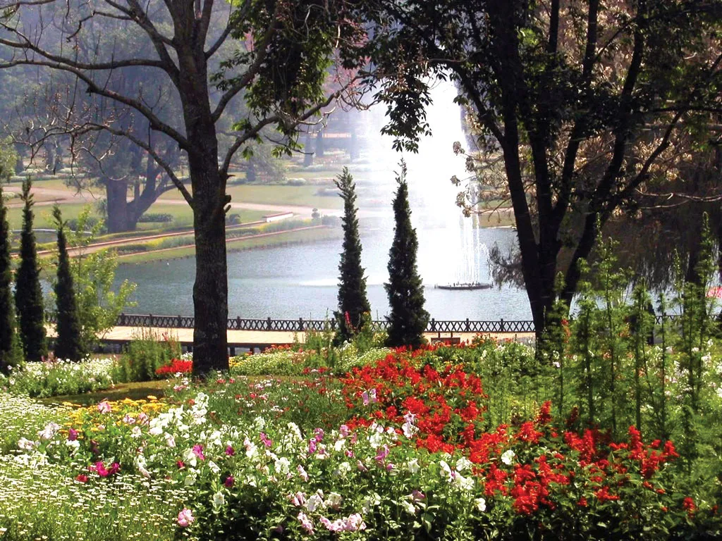 Berlin Botanical Garden and Museum