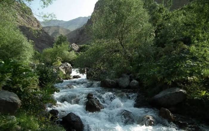7 Cool Places to Swim Around Tehran 7 Cool Places to Swim Around Tehran
