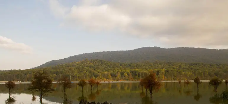 Alandan Lake , Sari