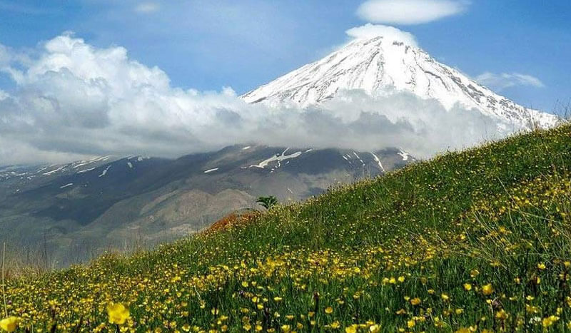 Family picnic in the most beautiful plains around Tehran