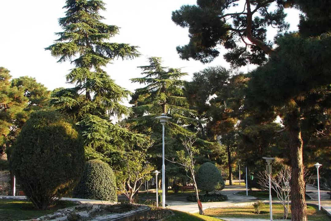 Saei Park , Tehran