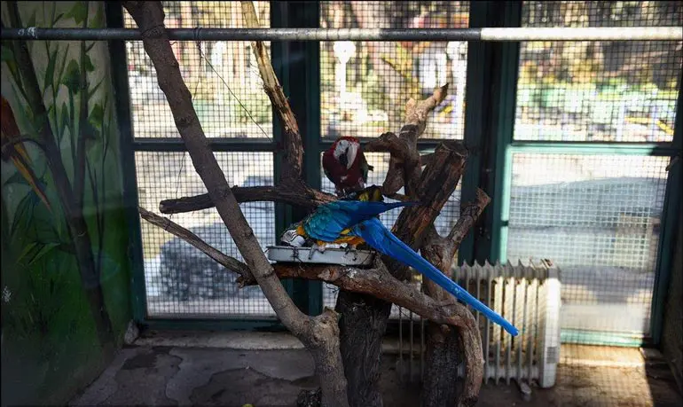 Saei Park , Tehran