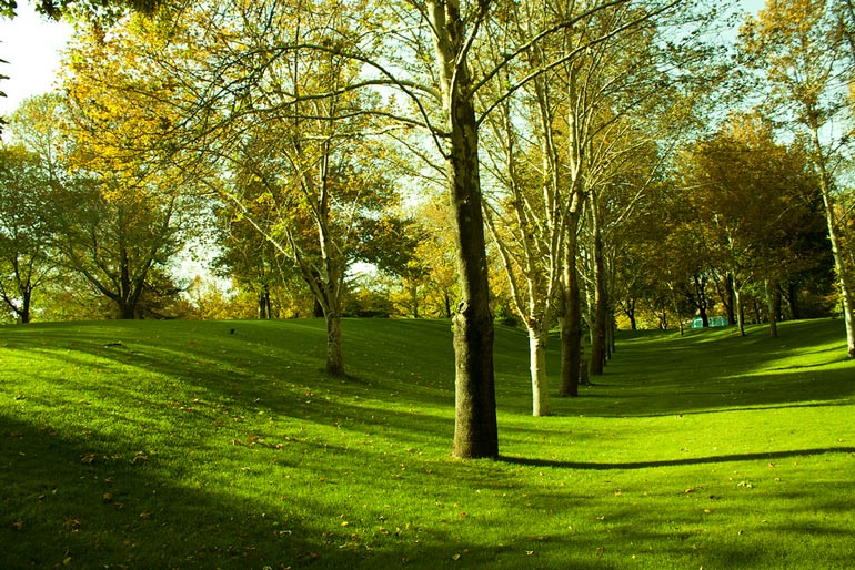 Mellat Park , Tehran