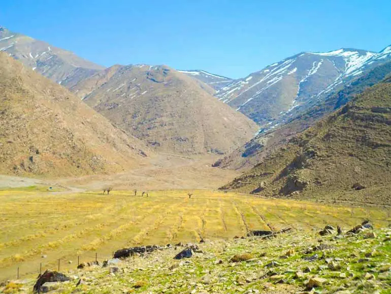 Dasht-e Havij , Lavasan Dasht-e Havij , Lavasan