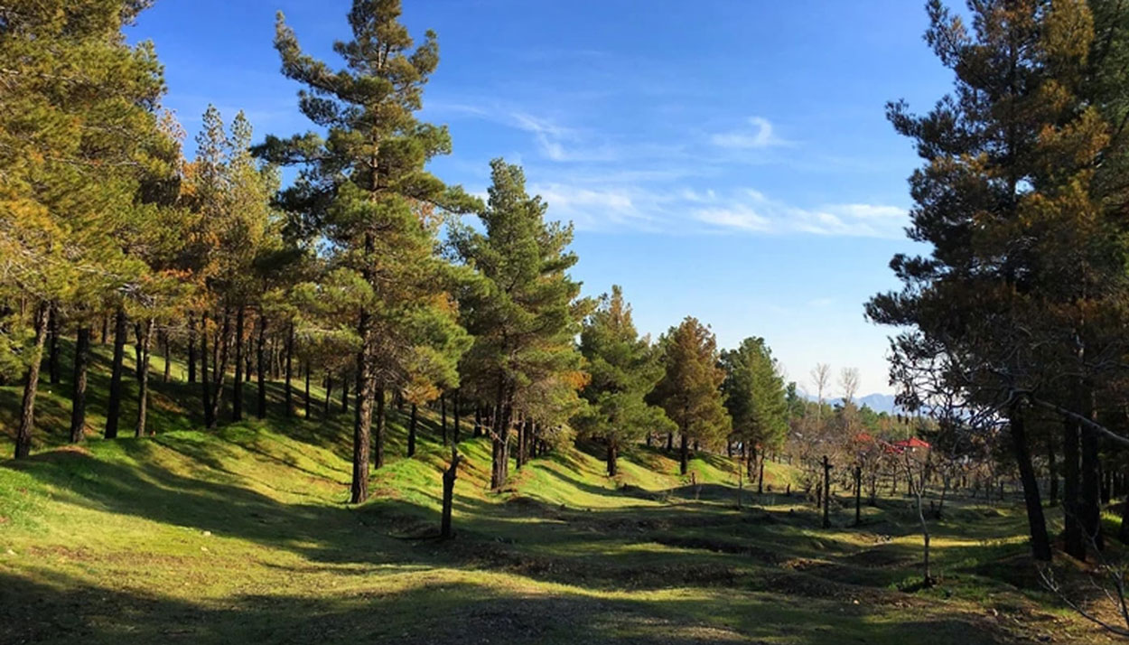 Lavizan Forest Park, Tehran Lavizan Forest Park, Tehran